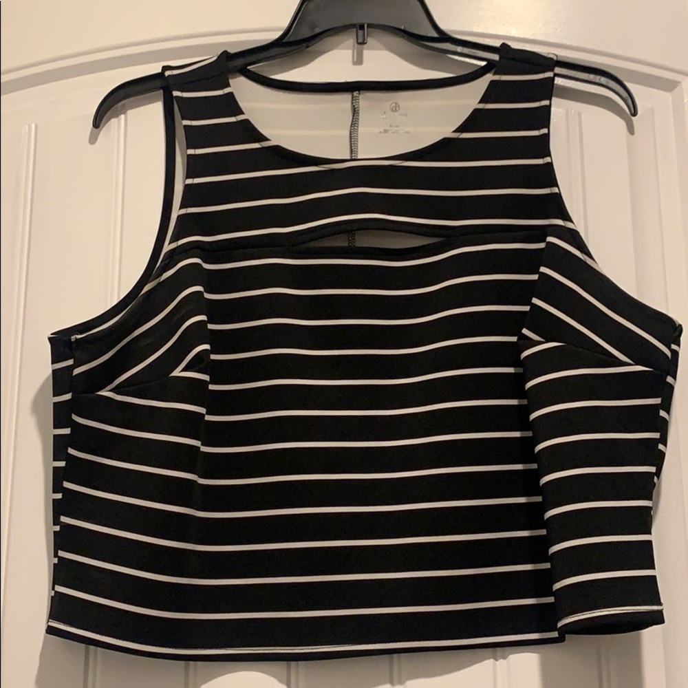 NWOT: Decree Sleeveless Crop Top